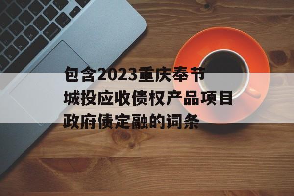 包含2023重庆奉节城投应收债权产品项目政府债定融的词条