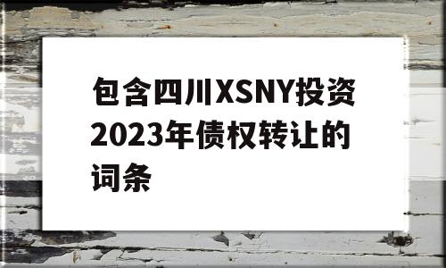 包含四川XSNY投资2023年债权转让的词条