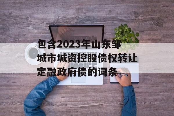 包含2023年山东邹城市城资控股债权转让定融政府债的词条