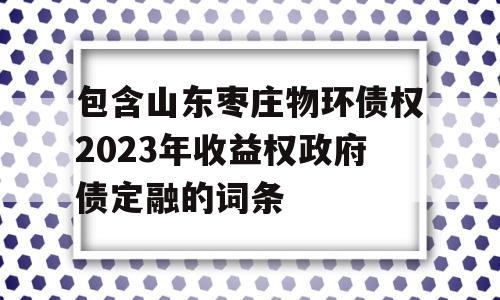 包含山东枣庄物环债权2023年收益权政府债定融的词条