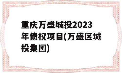 重庆万盛城投2023年债权项目(万盛区城投集团)