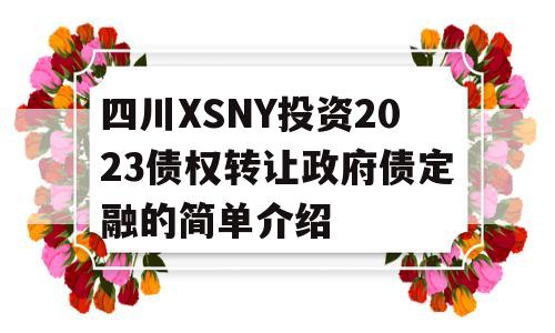 四川XSNY投资2023债权转让政府债定融的简单介绍