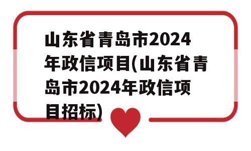 山东省青岛市2024年政信项目(山东省青岛市2024年政信项目招标)