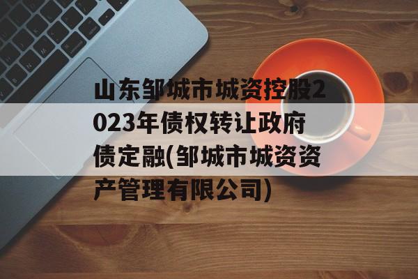 山东邹城市城资控股2023年债权转让政府债定融(邹城市城资资产管理有限公司)