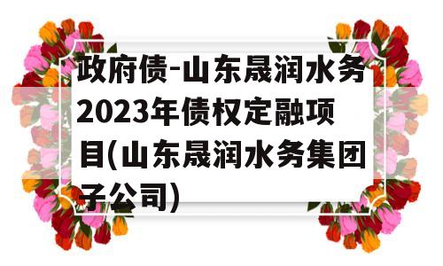 政府债-山东晟润水务2023年债权定融项目(山东晟润水务集团子公司)