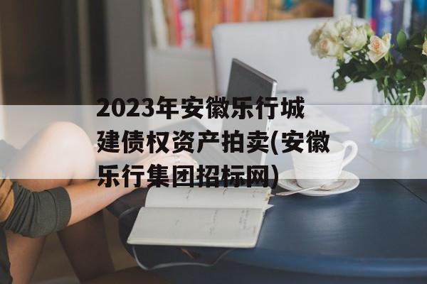 2023年安徽乐行城建债权资产拍卖(安徽乐行集团招标网)