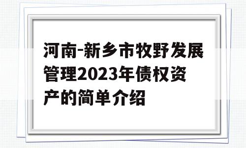 河南-新乡市牧野发展管理2023年债权资产的简单介绍