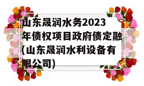 山东晟润水务2023年债权项目政府债定融(山东晟润水利设备有限公司)