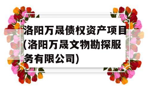 洛阳万晟债权资产项目(洛阳万晟文物勘探服务有限公司)