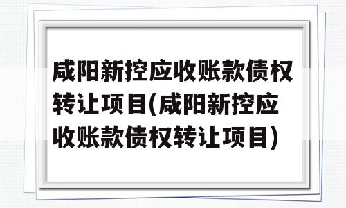 咸阳新控应收账款债权转让项目(咸阳新控应收账款债权转让项目)