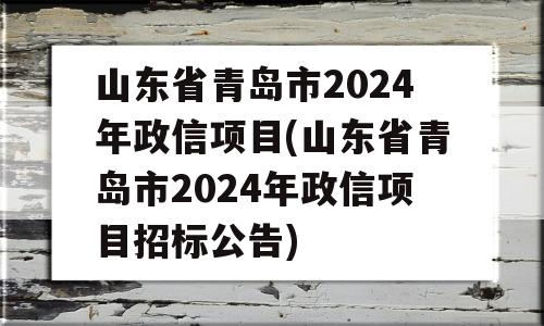 山东省青岛市2024年政信项目(山东省青岛市2024年政信项目招标公告)