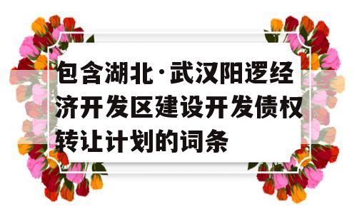 包含湖北·武汉阳逻经济开发区建设开发债权转让计划的词条