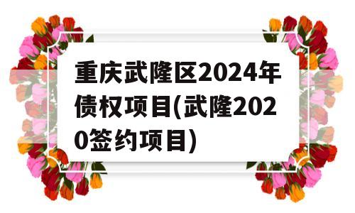 重庆武隆区2024年债权项目(武隆2020签约项目)