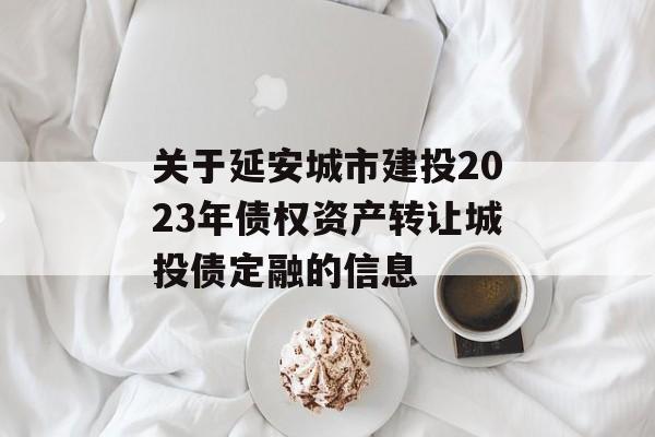 关于延安城市建投2023年债权资产转让城投债定融的信息