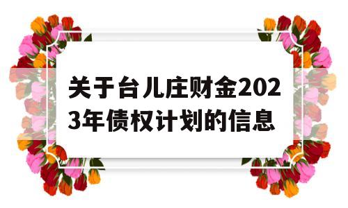 关于台儿庄财金2023年债权计划的信息