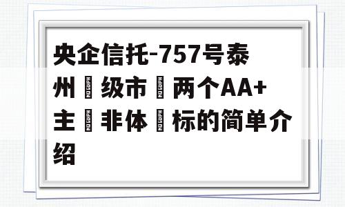 央企信托-757号泰州‮级市‬两个AA+主‮非体‬标的简单介绍