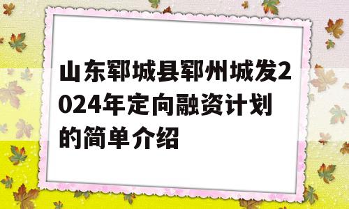 山东郓城县郓州城发2024年定向融资计划的简单介绍