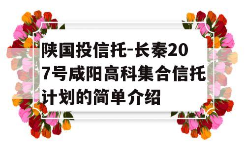 陕国投信托-长秦207号咸阳高科集合信托计划的简单介绍