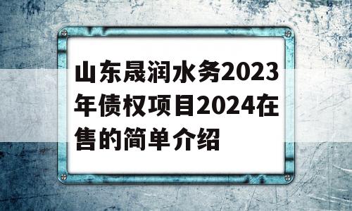 山东晟润水务2023年债权项目2024在售的简单介绍