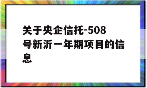 关于央企信托-508号新沂一年期项目的信息