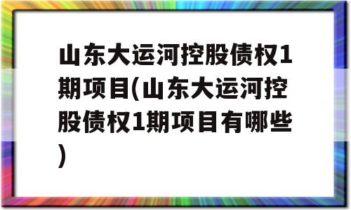 山东大运河控股债权1期项目(山东大运河控股债权1期项目有哪些)