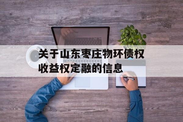 关于山东枣庄物环债权收益权定融的信息