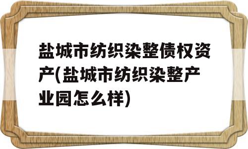 盐城市纺织染整债权资产(盐城市纺织染整产业园怎么样)