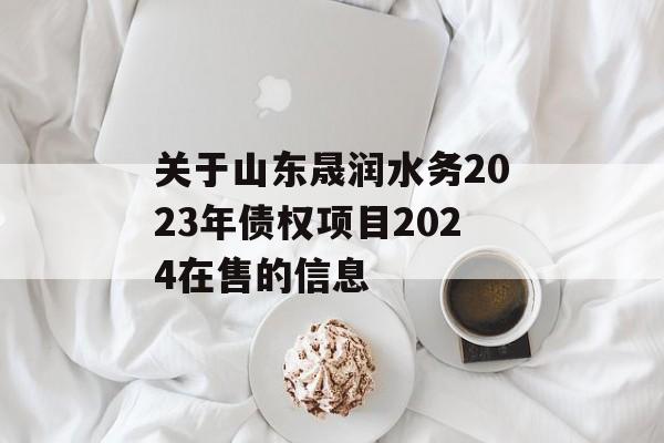 关于山东晟润水务2023年债权项目2024在售的信息