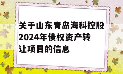 关于山东青岛海科控股2024年债权资产转让项目的信息