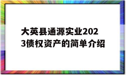 大英县通源实业2023债权资产的简单介绍