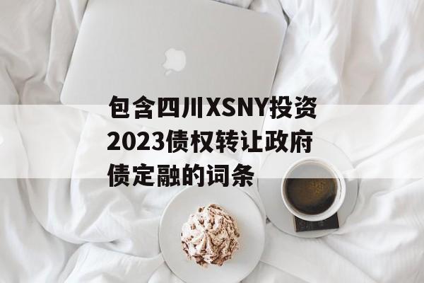 包含四川XSNY投资2023债权转让政府债定融的词条