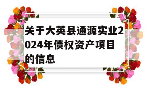 关于大英县通源实业2024年债权资产项目的信息