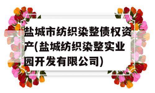 盐城市纺织染整债权资产(盐城纺织染整实业园开发有限公司)