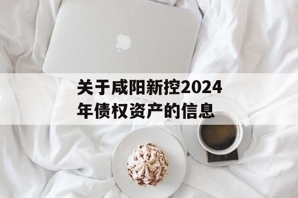 关于咸阳新控2024年债权资产的信息