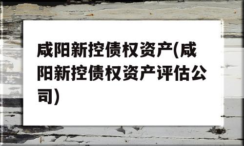 咸阳新控债权资产(咸阳新控债权资产评估公司)