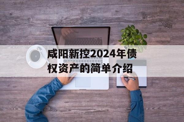 咸阳新控2024年债权资产的简单介绍