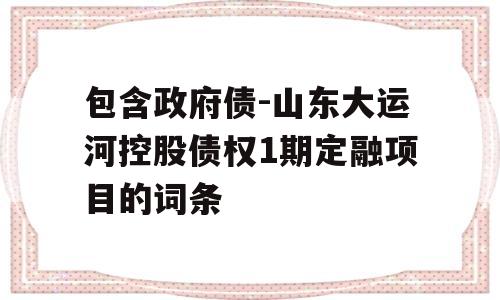 包含政府债-山东大运河控股债权1期定融项目的词条