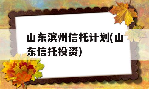 山东滨州信托计划(山东信托投资)