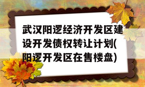 武汉阳逻经济开发区建设开发债权转让计划(阳逻开发区在售楼盘)