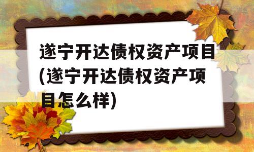 遂宁开达债权资产项目(遂宁开达债权资产项目怎么样)