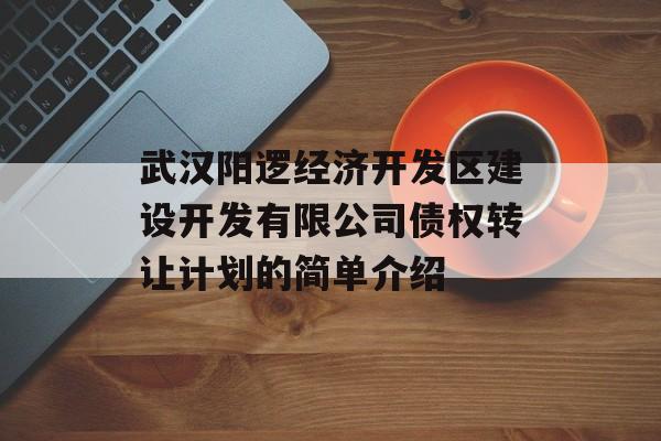 武汉阳逻经济开发区建设开发有限公司债权转让计划的简单介绍