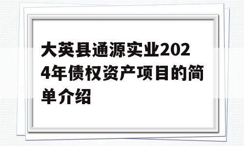 大英县通源实业2024年债权资产项目的简单介绍