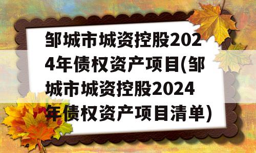 邹城市城资控股2024年债权资产项目(邹城市城资控股2024年债权资产项目清单)