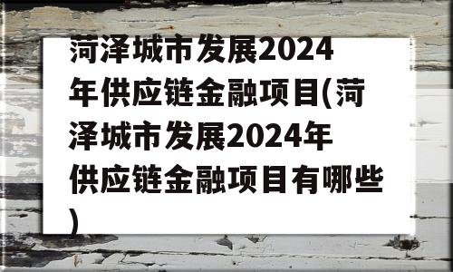 菏泽城市发展2024年供应链金融项目(菏泽城市发展2024年供应链金融项目有哪些)