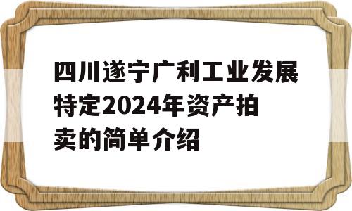 四川遂宁广利工业发展特定2024年资产拍卖的简单介绍