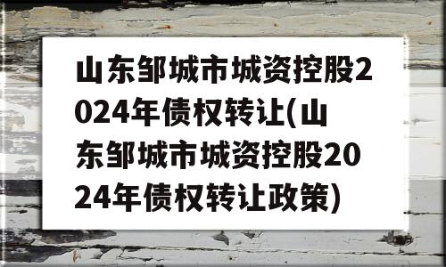 山东邹城市城资控股2024年债权转让(山东邹城市城资控股2024年债权转让政策)