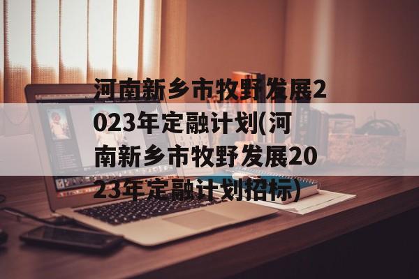 河南新乡市牧野发展2023年定融计划(河南新乡市牧野发展2023年定融计划招标)