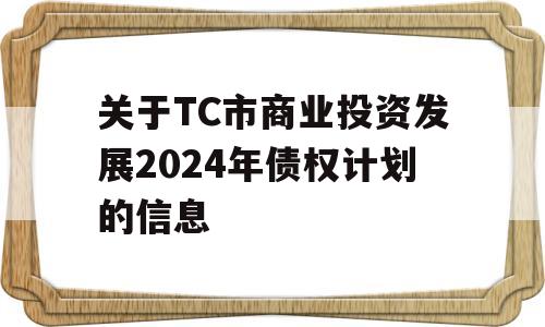 关于TC市商业投资发展2024年债权计划的信息