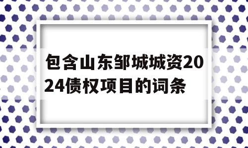 包含山东邹城城资2024债权项目的词条