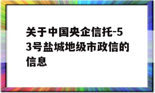 关于中国央企信托-53号盐城地级市政信的信息